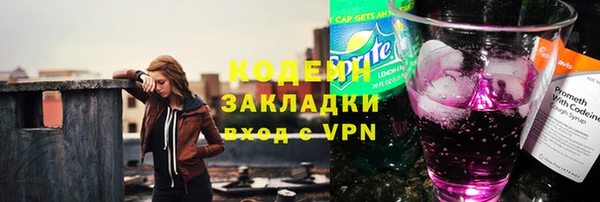 прущие грибы Балахна