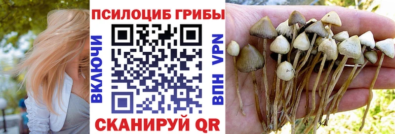 Галлюциногенные грибы Psilocybine cubensis  закладка  Усть-Кут 